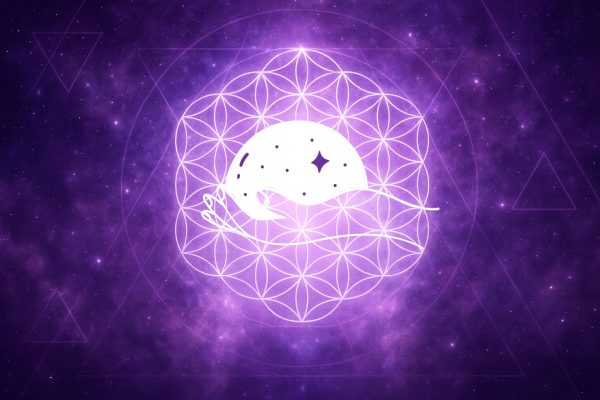 Titelbild Holistic Solution Akasha-Chronik